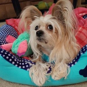 Meet your Posher, Lindsay